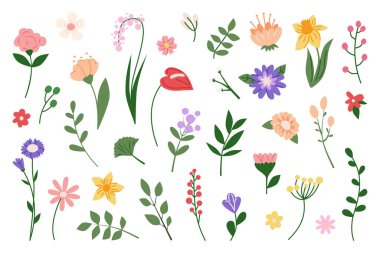 Vahşi yaz bitkilerinin, yaprakların ve dalların botanik çiçek koleksiyonu. Bahçe çayırı buketi için tuhaf renkli bir el çizimi. Basit minimalist karalama sanat dekorasyonu. Vektör illüstrasyonu