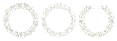 Tropikal çiçekli, egzotik bitkilerle, canavarlarla, anthuryumla birlikte bir dizi minimalist sanat çiçeği. Palmiye yapraklarıyla botanik çember çizgisi. Orman yuvarlak çerçeve koleksiyonu. Vektör illüstrasyonu