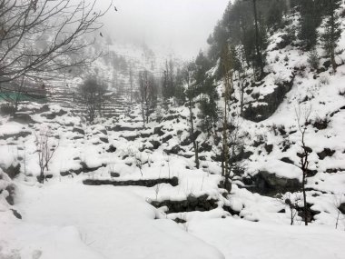 Dağlık bölgede şiddetli kar yağışı var.