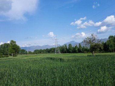 Mavi gökyüzü ve arka planda bulutlarla işlenmiş yeşil tarlalar