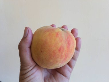 A ripen peach fruit holding in hand