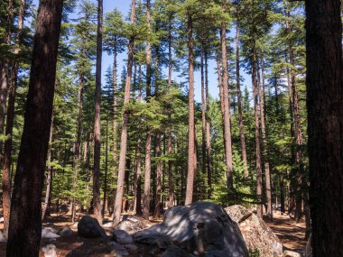 Kalam Vadi Vadisi Vloseup Manzarası