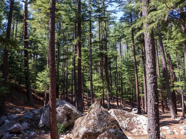 Bela Vista Panorâmica Floresta Vale Swat Kalam — Fotografia de Stock