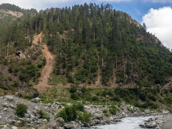 Floresta Cedro Kalam Swat Paquistão — Fotografia de Stock