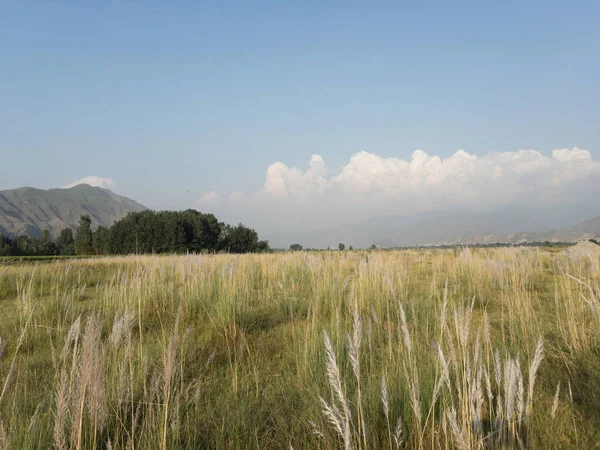 Una Hermosa Vista Panorámica Swat Valley Village — Foto de Stock