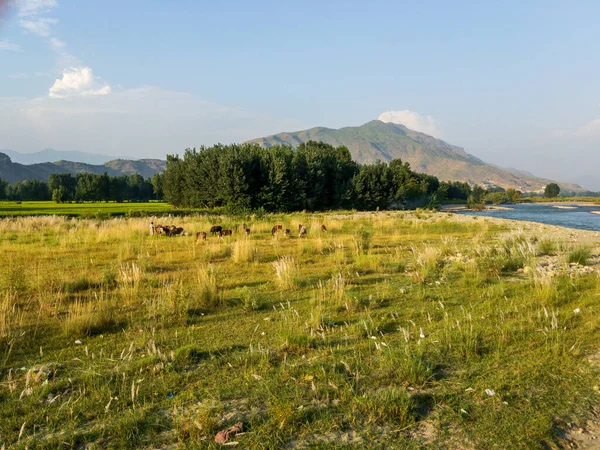 Hermoso Paisaje Río Swat Valle Swat Pakistán — Foto de Stock