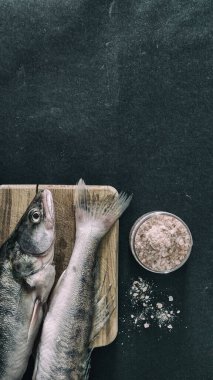 Çiğ balık kızartma tavasında baharatlı himalaya tuzlu yiyecek fotoğrafçılığı.