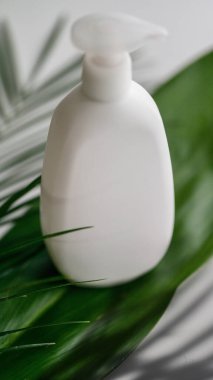 Etiketlenmemiş boş el dezenfektanı şişesini kapat yeşil biyoorganik konsept tasarım fotokopi alanı