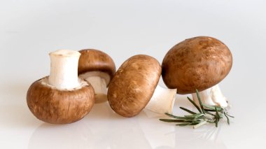 Düz renkli kalem yatağı.