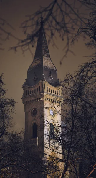 Tower of The Piarist Church of the Catholic Teachers\' Church Timisoara night photo