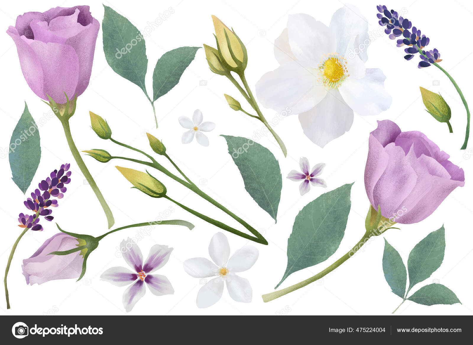春の花 リアンサス ジャスミン ラベンダー 白い背景に緑色の葉で庭で成長します 春の花セット 植物図 ストック写真 C Taninopics 春の花 リアンサス ジャスミン ラベンダー 白い背景に緑色の葉で庭で成長します 春の花セット 植物図 ストック写真 C Taninopics