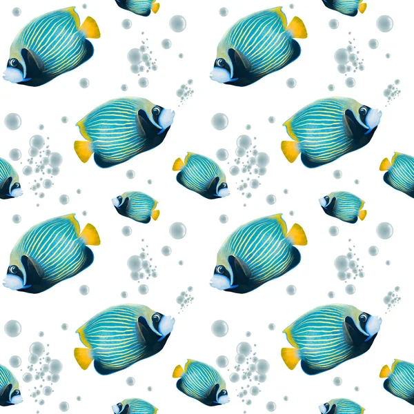 Seamless sea pattern with tropical fishes, algae, corals. Underwater world. Hand drawn underwater natural elements. isolated on white