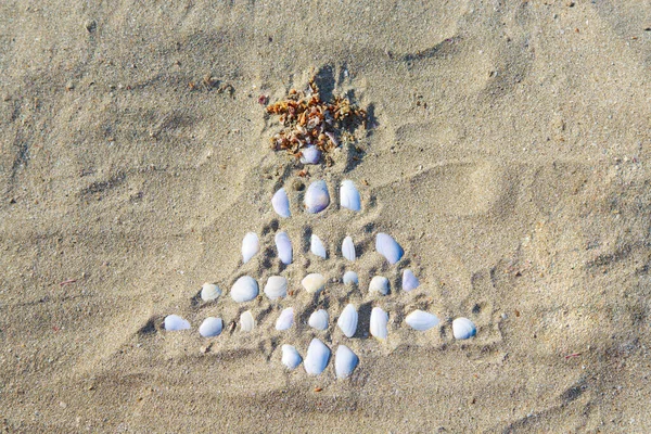 2021 Drawing Christmas Tree Made Shells Sand Copy Space New — Stock Photo, Image