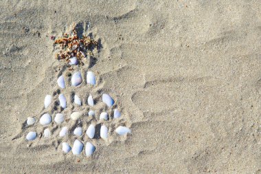 2021: Kumsalda deniz kabuklarından yapılmış bir Noel ağacı çizimi. kopyalama alanı. Kumsalda yeni yıl
