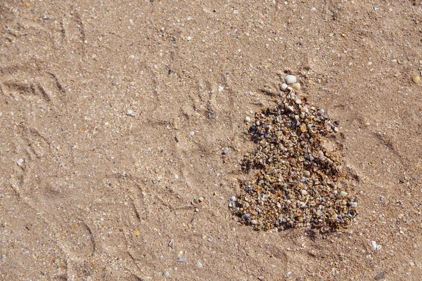 2021 Ritning Julgran Gjord Skal Sanden Kopiera Utrymme Nytt Stranden — Stockfoto