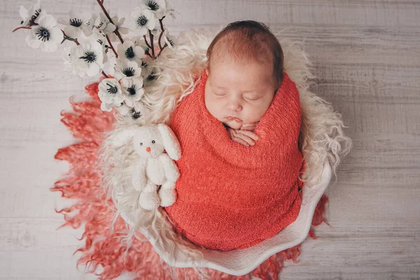 一个正在睡觉的新生儿的肖像 模仿子宫里的婴儿 花作为装饰 室内装饰 3月8日 — 图库照片