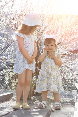 Mutlu bir çocuk beyaz çiçeklerin arasında yürür. Aşk, güneş ve bahar çiçekleri. Panama şapkalı ve elbiseli bir kız.