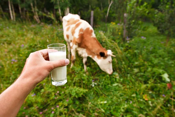 Dairy products. healthy food: Village milk. Drink in a glass.
