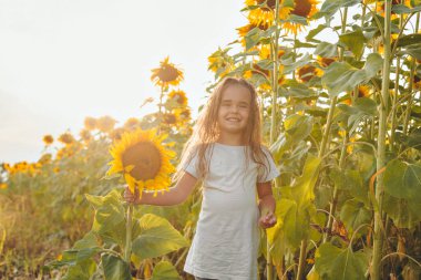 Küçük bir kız kocaman bir ayçiçeği tutuyor. Sarı ayçiçeği yaprakları. Yazla ilişkilendirilmiş doğal bir geçmiş. Hasat için hazırlanıyorum.