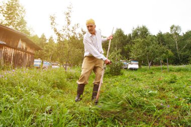 Bir adam çimleri biçiyor. Köy hayatı: Kış için saman biçmek. Hayvan yemi. örgü yakın çekim