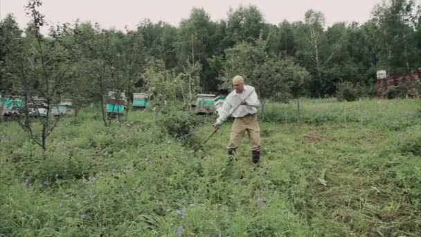 Mand Slår Græsset Landsbyliv Høst Til Vinteren Foder Fletning Close – Stock-video