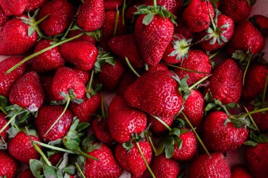 Kırmızı çilekler kapanıyor. Victoria meyvesi olgunlaşmış. yaz mevsimi