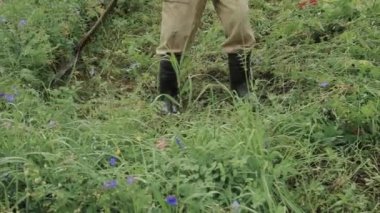 Bir adam çimleri biçiyor. Köy hayatı: Kış için saman biçmek. Hayvan yemi. örgü yakın çekim