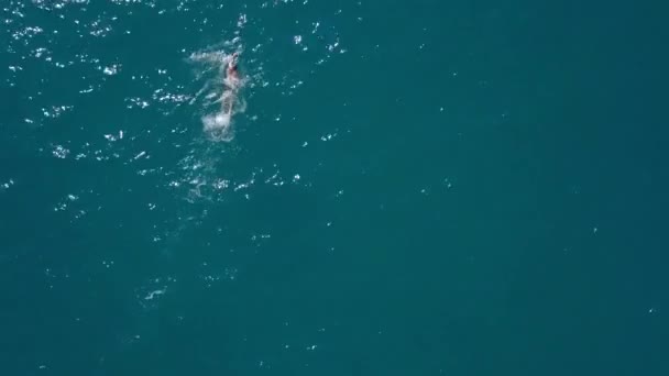 Uitzicht Vanaf Drone Een Man Zwemt Kruipend Zee Een Zwemmer — Stockvideo