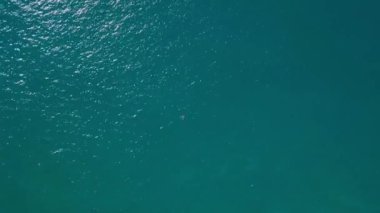 İnsansız hava aracı görüntüsü: Denizde yüzen bir adam. Suda bir yüzücü. Okyanus manzarası.