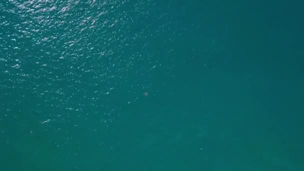 Drohnenblick: ein Mann, der im Meer schwimmt. Ein Schwimmer im Wasser. Blick von oben auf das Meer. — Stockvideo