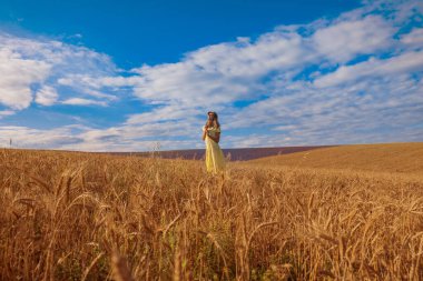 Hasat: Olgun buğday tarlada yetişir. Altın tahıl ve kız tarlada yürüyorlar. Sıcak güneş deriyi okşar.