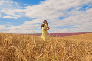 Hasat: Olgun buğday tarlada yetişir. Altın tahıl ve kız tarlada yürüyorlar. Sıcak güneş deriyi okşar.