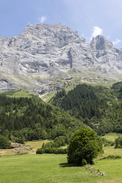 Tierras agrícolas en los Alpes en Suiza —  Fotos de Stock