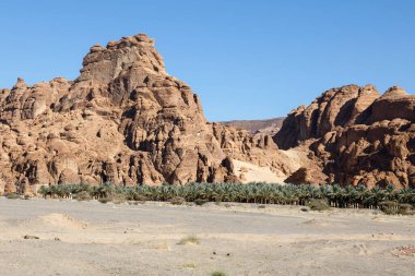 El Ula yakınlarındaki manzara, hurma palmiyeli Suudi Arabistan