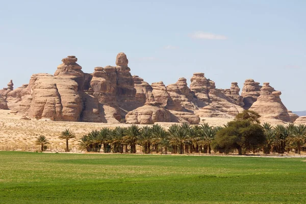 Paisaje Cerca Ula Arabia Saudita Con Palmeras Datileras — Foto de Stock