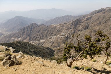 Suudi Arabistan 'ın güneydoğusundaki Abha yüksek platosuna giden dik, dolambaçlı bir yol.