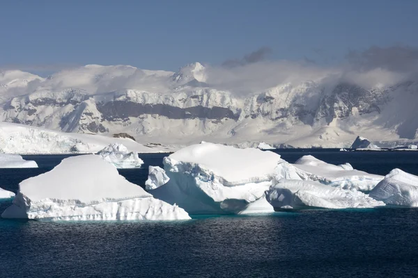 Антарктида, остров Кувервиль — стоковое фото