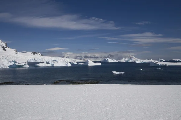 Antártida, Isla de Cuverville — Foto de Stock