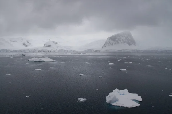 南極の嵐 — ストック写真