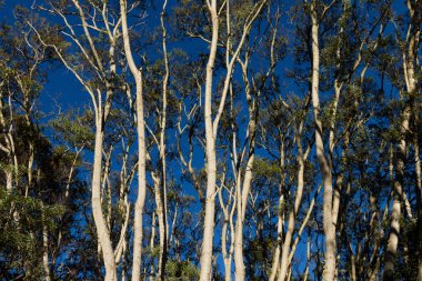 gün saat görünümü şube