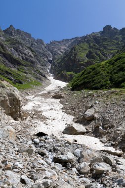 İsviçre Alpleri'nin güzel manzara