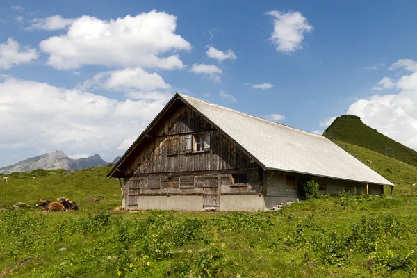 Estable en los Alpes suizos — Foto de Stock