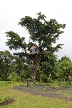 Ağaç evi, Vanuatu Cumhuriyeti