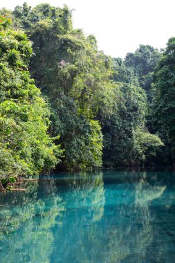 Mavi delik, Vanuatu Cumhuriyeti
