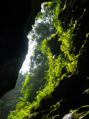 Mağara, Vanuatu görünümü
