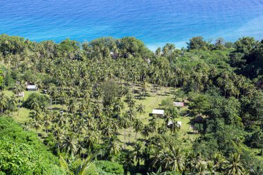 Kıyı şeridi Vanuatu görünümü