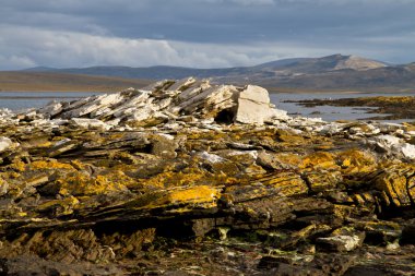 Landscape Falkland Islands clipart