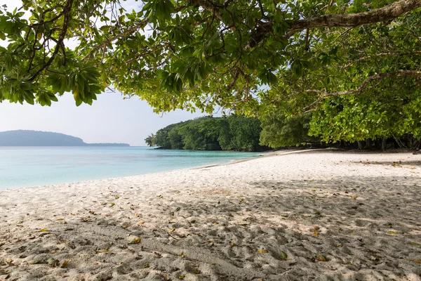 Bella spiaggia di Champagne — Foto Stock