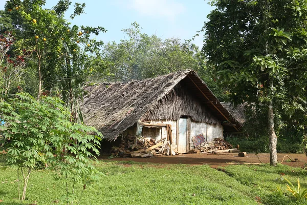Vista sul bungalow della giungla — Foto Stock
