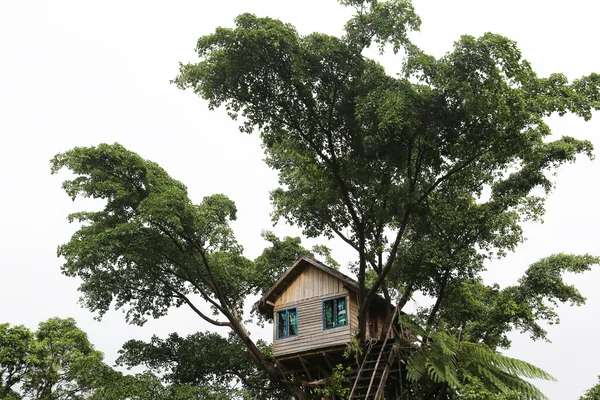Domek na drzewie, Vanuatu — Zdjęcie stockowe